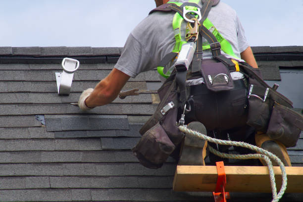 Best Roof Gutter Cleaning  in El Verano, CA